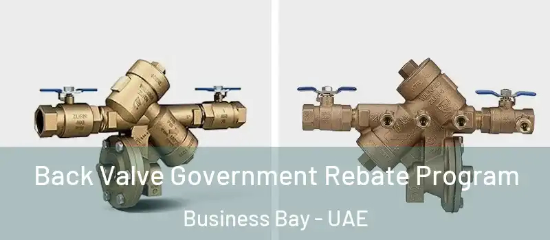 Back Valve Government Rebate Program Business Bay - UAE