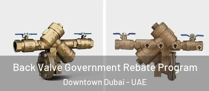 Back Valve Government Rebate Program Downtown Dubai - UAE