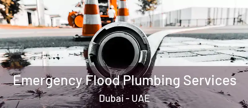 Emergency Flood Plumbing Services Dubai - UAE