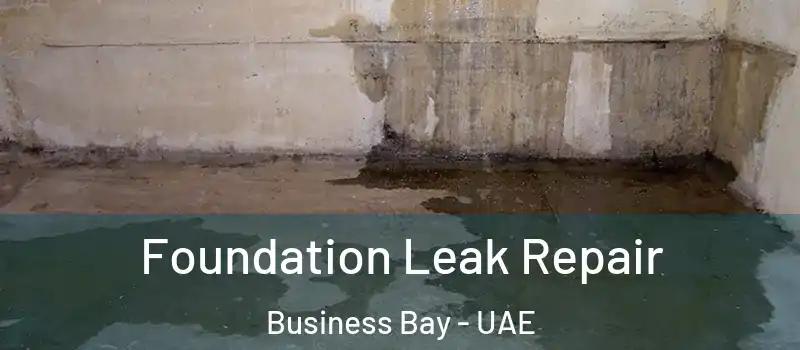 Foundation Leak Repair Business Bay - UAE