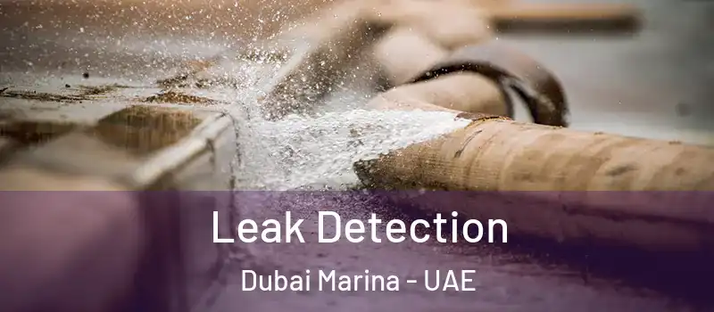 Leak Detection Dubai Marina - UAE