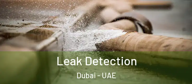 Leak Detection Dubai - UAE