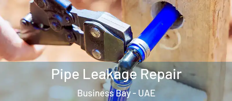 Pipe Leakage Repair Business Bay - UAE