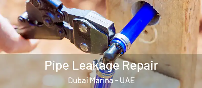 Pipe Leakage Repair Dubai Marina - UAE