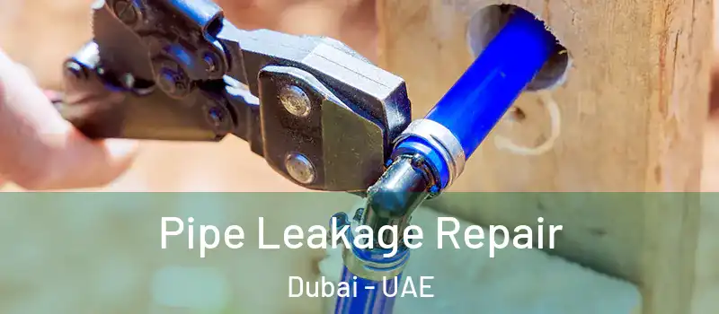 Pipe Leakage Repair Dubai - UAE