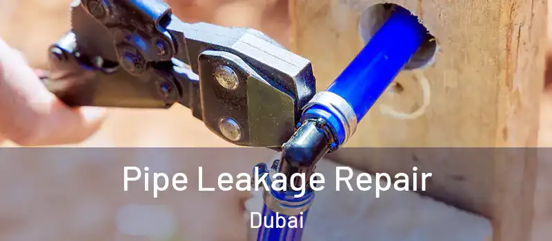 Pipe Leakage Repair Dubai