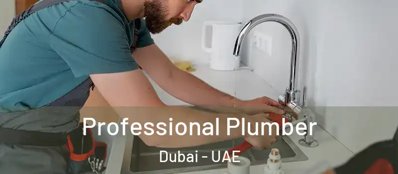 Professional Plumber Dubai - UAE