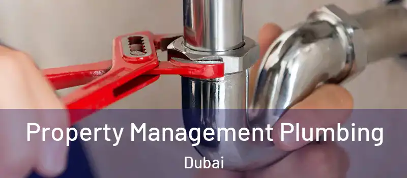 Property Management Plumbing Dubai