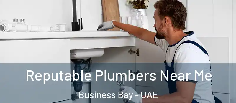 Reputable Plumbers Near Me Business Bay - UAE