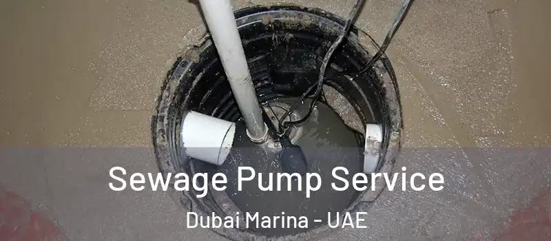 Sewage Pump Service Dubai Marina - UAE