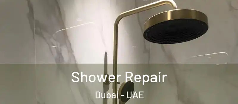 Shower Repair Dubai - UAE