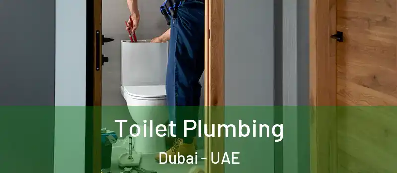 Toilet Plumbing Dubai - UAE