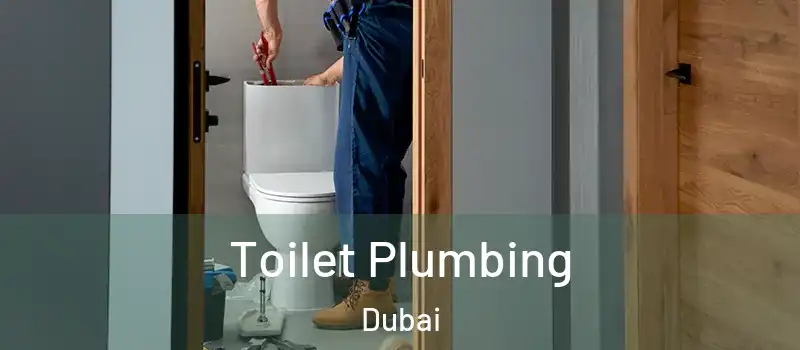 Toilet Plumbing Dubai