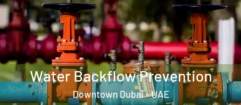 Water Backflow Prevention Downtown Dubai - UAE