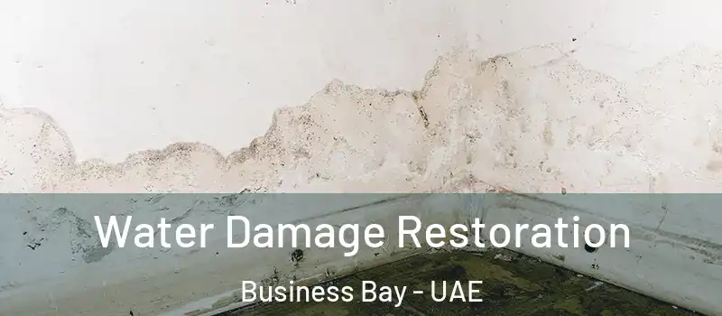 Water Damage Restoration Business Bay - UAE