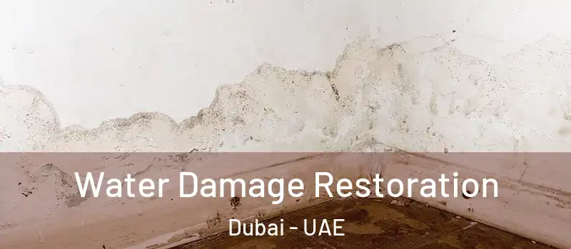 Water Damage Restoration Dubai - UAE