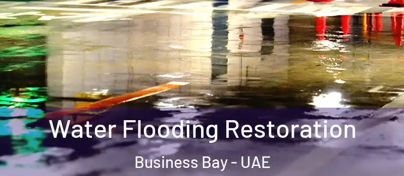 Water Flooding Restoration Business Bay - UAE